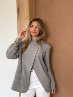 Blazer Fem grijs