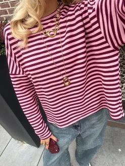Longsleeve Sophie bruin/roze