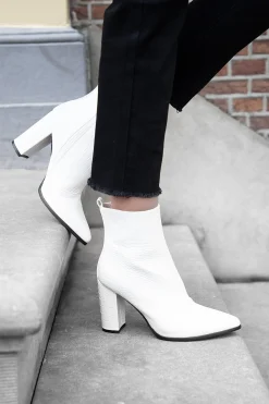 One more white croco - MAAT 36 & 37