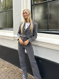 Pantalon Esther grijs