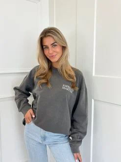 Sweater Espresso martini grijs