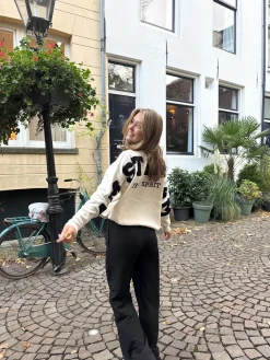 Trui Amsterdam beige