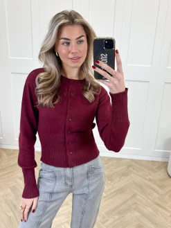 Trui Blake bordeaux