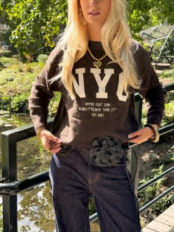 Trui NYC bruin