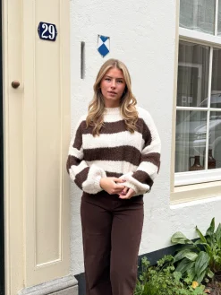 Trui Rosalie bruin