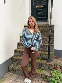 Vest Sophie blauw