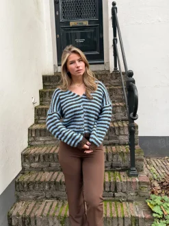Vest Sophie blauw