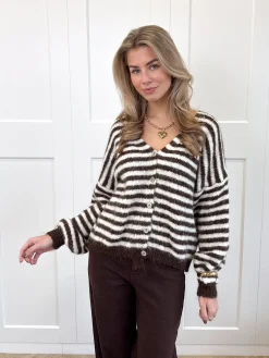 Vest Sophie bruin